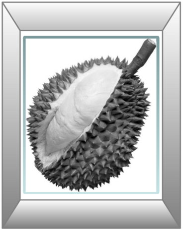 /copyrighteous/images/durian_gray.png